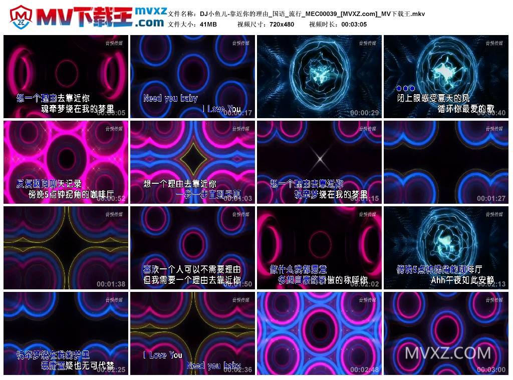 DJ小鱼儿-靠近你的理由_国语_流行_MEC00039